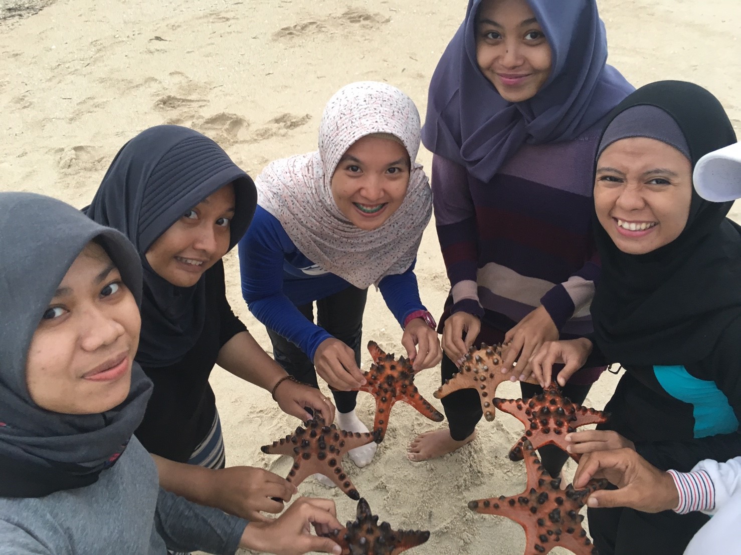 Bintang laut di Pantai Pasir