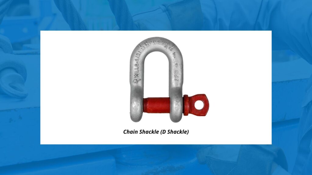 Chain Shackle (D Shackle)